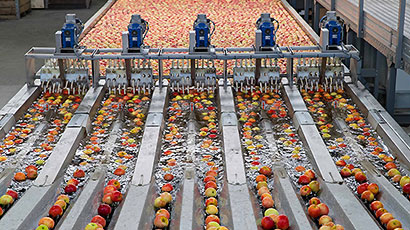 Æbler vaskes og sorteres i produktionsanlæg